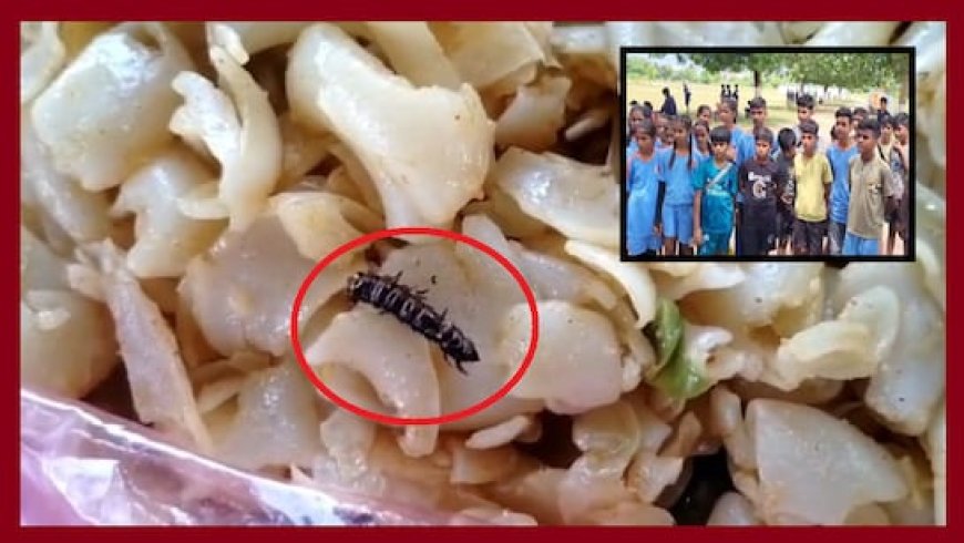 प्लेयर्स के खाने में कीड़े; कैसे फिट रहेंगे खिलाड़ी? खेल प्रतियोगिता में अव्यवस्थाओं की खुली पोल