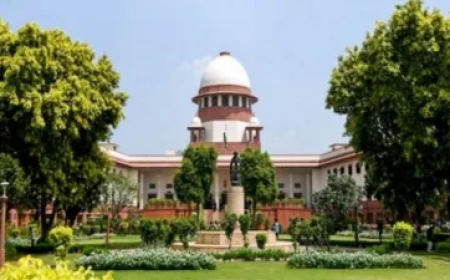 दिल्ली-NCR के लोगों के लिए खुशखबरी, दिवाली पर जला सकेंगे ग्रीन पटाखे, सुप्रीम कोर्ट ने इन शर्तों के साथ दी अनुमति