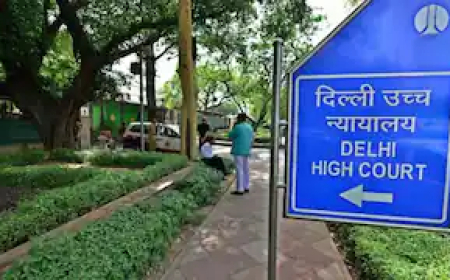 जो खुद कमाने में सक्षम है, उसे भरण-पोषण नहीं मिलेगा', दिल्ली हाईकोर्ट का अहम फैसला