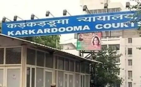 500 पन्नों की थी याचिका, जमानत नहीं मिलेगी: दिल्ली कोर्ट ने लंबी-चौड़ी जमानत अर्जी देख किया खारिज