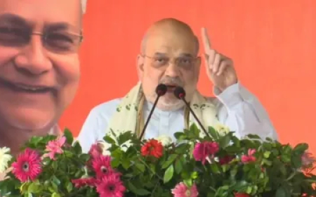 100 शहाबुद्दीन आ जाए...किसी का बाल बांका नहीं कर सकते', बिहार के सिवान में बोले गृह मंत्री अमित शाह