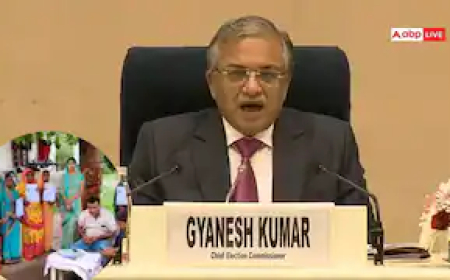 अगर आपके पास हैं ये दस्तावेज तो नहीं पड़ेगी नागरिकता साबित करने की जरूरत, देख लें पूरी लिस्ट