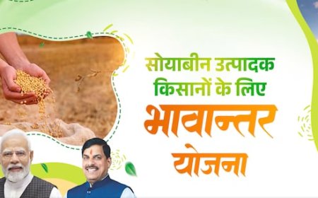 भावांतर योजना के लिए हेल्पलाइन शुरू, इस नंबर पर दर्ज करा सकते हैं शिकायत