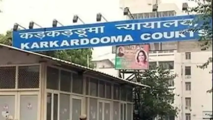 500 पन्नों की थी याचिका, जमानत नहीं मिलेगी: दिल्ली कोर्ट ने लंबी-चौड़ी जमानत अर्जी देख किया खारिज