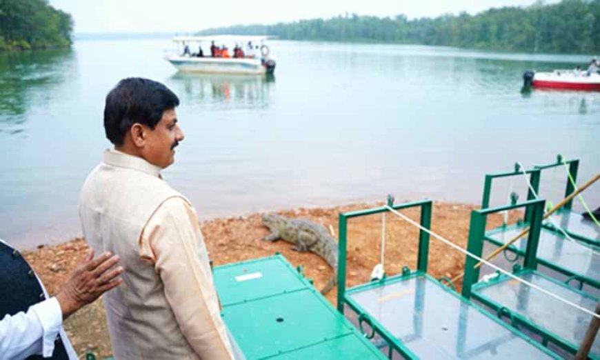 सीएम डॉ. मोहन यादव ने एक और संकल्प किया पूरा, नर्मदा में छोड़े मगरमच्छ, जानें क्या होगा फायदा?