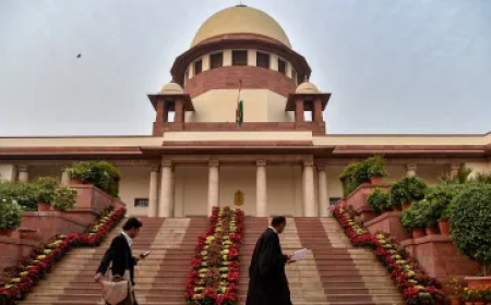 आवारा कुत्तों के मामले पर सुप्रीम कोर्ट में हुई सुनवाई, कई राज्यों के मुख्य सचिव रहे मौजूद