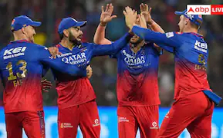 कैसे खरीद सकते हैं IPL की कोई टीम, इसके लिए कितना पैसा होना जरूरी?