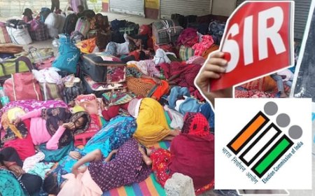 बांग्लादेश बॉर्डर पर बंगाल से भागते अवैध प्रवासियों की भीड़, SIR का साइड इफेक्ट