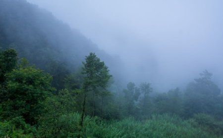 MP में फिर बदलेगा मौसम का मिजाज, कई हिस्सों में छाए बादल, 6 डिग्री से नीचे पहुंचा पचमढ़ी का पारा, जानिए अपने इलाक का हाल