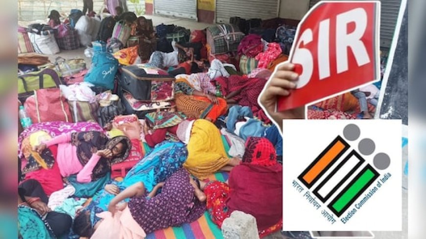 बांग्लादेश बॉर्डर पर बंगाल से भागते अवैध प्रवासियों की भीड़, SIR का साइड इफेक्ट