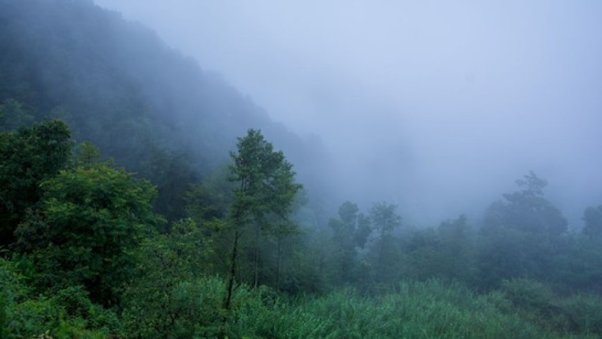 MP में फिर बदलेगा मौसम का मिजाज, कई हिस्सों में छाए बादल, 6 डिग्री से नीचे पहुंचा पचमढ़ी का पारा, जानिए अपने इलाक का हाल