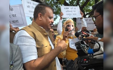 MP विधानसभा में 'बंदर लीला': कांग्रेस विधायक उस्तरा लेकर पहुंचे, बोले- सरकार चला रही हर वर्ग पर 'कटार'