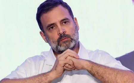 सूचना आयुक्तों में OBC, SC-ST नहीं', उल्टा पड़ा राहुल गांधी का दांव, देख लीजिए आंकड़े