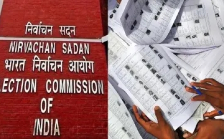 चुनाव आयोग ने SIR को लेकर किया एक और बड़ा फैसला, 8 राज्यों में की SRO की नियुक्ति, क्या होगा इनका काम?