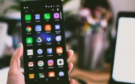 एमपी-छत्तीसगढ़ कल जारी होगा SIR का इलेक्टोरल रोल, मोबाइल से ऐसे चेक करें अपना नाम