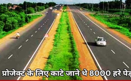 मध्य प्रदेश सरकार को झटका, एनजीटी ने बायपास चौड़ीकरण के लिए 8000 हरे पेड़ों के काटने पर लगाई रोक