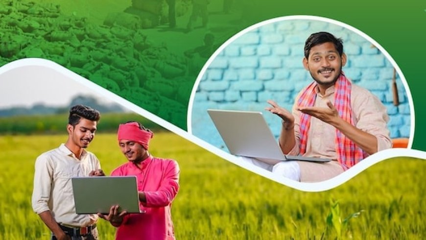 किसानों के लिए खुशखबरी; अब सरसों व मूंगफली में भी भावांतर भुगतान, जल्द नई बीमा योजना