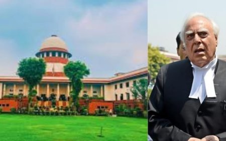 आवारा कुत्तों पर सुनवाई के दौरान ऐसा क्या हुआ कि सुप्रीम कोर्ट ने कपिल सिब्बल को सुना दिया?