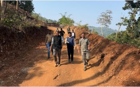 ये सिर्फ तस्वीर नहीं... नक्सलियों के खात्मे का सबूत, पहली बार गांव में पड़े कलेक्टर के कदम, फिर क्या हुआ?