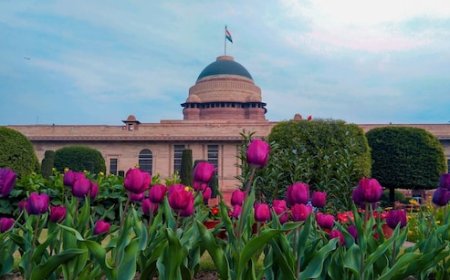 राष्ट्रपति भवन घूमने की कर रहे हैं प्लानिंग? जान लें टिकट से लेकर टाइमिंग तक, सभी जरूरी डिटेल्स