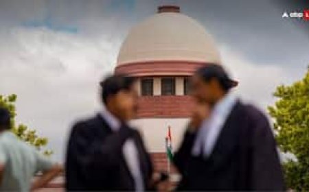 BCCI की टीम को भारतीय क्रिकेट टीम न कहा जाए', ये मांग सुनकर भड़का SC, कहा- समय बर्बाद करने के लिए 10 लाख रुपये हर्जाना..