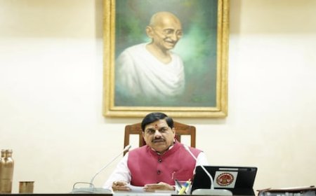 मोहन सरकार ने पचमढ़ी नगर को अभयारण्य से अलग किया; कैबिनेट में इन प्रस्तावों को मिली मंजूरी