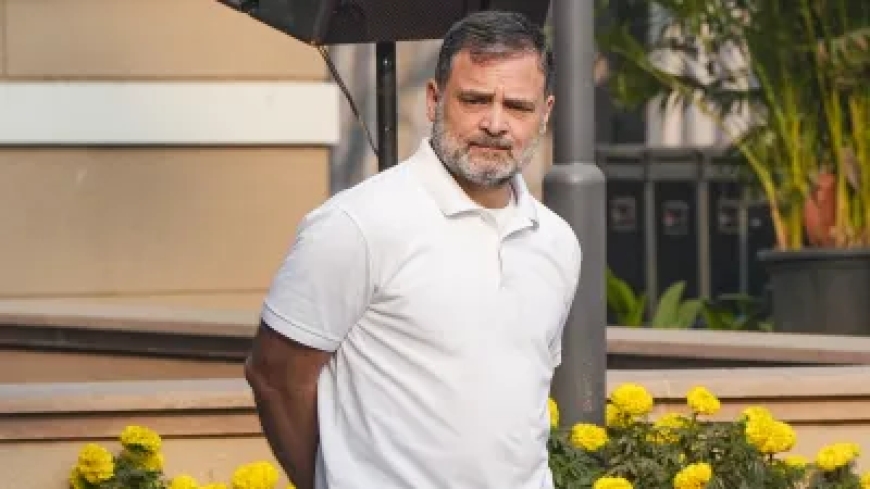 सर्वे में 91% ने माना चुनाव निष्पक्ष, BJP बोली- राहुल गांधी का कर्नाटक में अपनी सरकार ने ही कर दिया 'फैक्ट-चेक'