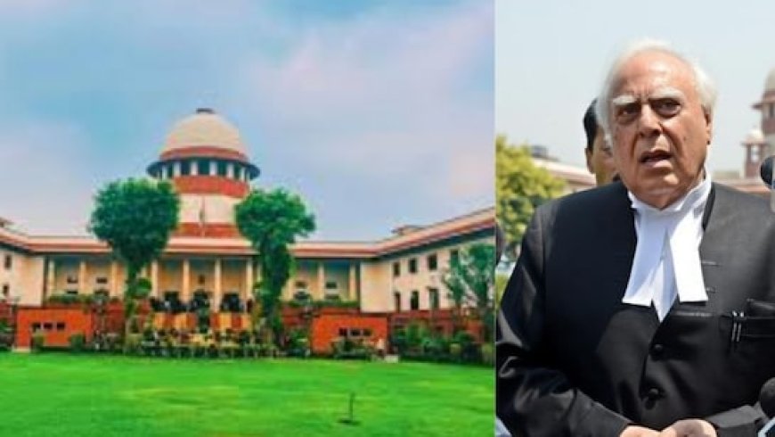 आवारा कुत्तों पर सुनवाई के दौरान ऐसा क्या हुआ कि सुप्रीम कोर्ट ने कपिल सिब्बल को सुना दिया?