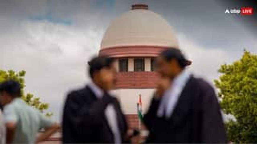 BCCI की टीम को भारतीय क्रिकेट टीम न कहा जाए', ये मांग सुनकर भड़का SC, कहा- समय बर्बाद करने के लिए 10 लाख रुपये हर्जाना..