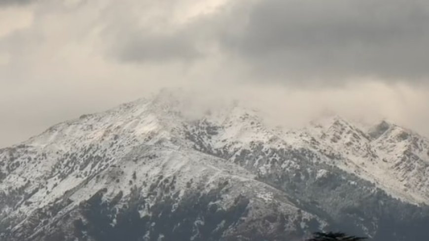 सज गया कांगड़ा का मुकुट, सीजन की पहली बर्फबारी, धौलाधार की पहाड़ियों ने ओढ़ी सफेद मोटी चादर