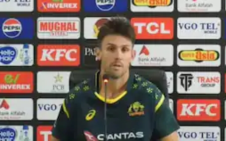 पाकिस्तानी पत्रकार की इस ऑस्ट्रेलियाई खिलाड़ी ने की बोलती बंद, सुरक्षा के मुद्दे पर पूछा सवाल तो कहा- हमें भारतीयों पर भरोसा