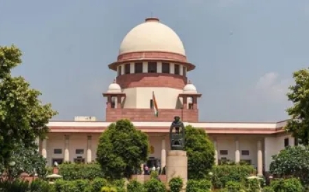 हम चिंतित हैं', POCSO मामले में भाषा पर सुप्रीम कोर्ट सख्त, इलाहाबाद HC के आदेश पर स्वत: संज्ञान लिया