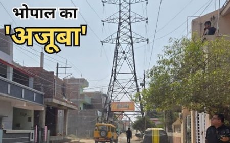 अब भोपाल में 'एफिल टॉवर' का अजूबा: हाईटेंशन टावर के नीचे बिछा दी डामर की सड़क,नीचे से गुजर रहे वाहन