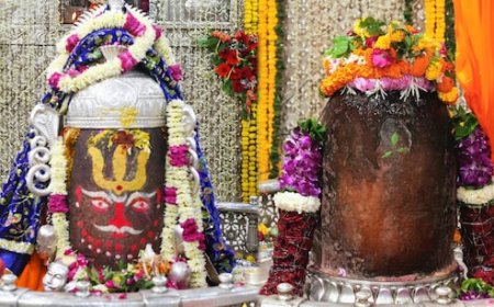 महाशिवरात्रि 2026: उज्जैन महाकालेश्वर मंदिर में VIP दर्शन कैसे करें? टिकट कीमत व बुकिंग प्रक्रिया