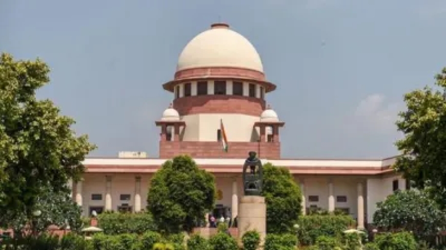 हम चिंतित हैं', POCSO मामले में भाषा पर सुप्रीम कोर्ट सख्त, इलाहाबाद HC के आदेश पर स्वत: संज्ञान लिया