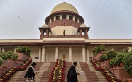 मैं यहीं कोर्ट में इंग्लिश एग्जाम अरेंज करूंगा, अगर आपके 30 मार्क्स आते हैं तो इसे देखूंगा,' पिटीशनर पर भड़के CJI