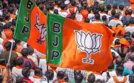 पणजी नगर निकाय चुनाव में BJP की 'सुनामी', 30 में से 27 वार्ड में हासिल की जीत; देखें विजेताओं की पूरी लिस्ट