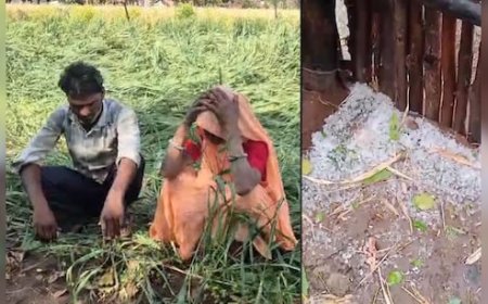 एमपी में आसमान से बरसी आफत! किसानों को करोड़ों का नुकसान, मौसम विभाग ने जारी की चेतावनी