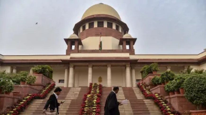 मैं यहीं कोर्ट में इंग्लिश एग्जाम अरेंज करूंगा, अगर आपके 30 मार्क्स आते हैं तो इसे देखूंगा,' पिटीशनर पर भड़के CJI