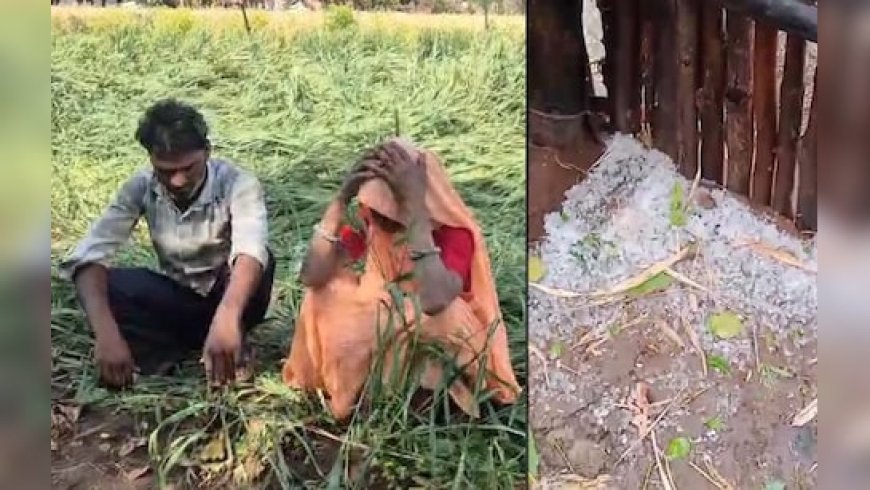 एमपी में आसमान से बरसी आफत! किसानों को करोड़ों का नुकसान, मौसम विभाग ने जारी की चेतावनी