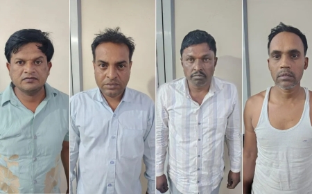कलेक्टर के नाम से बड़ा फर्जीवाड़ा, बाबुओं ने बेची आदिवासी जमीन, रजिस्ट्री के लिए पहुंचे तो सामने आया खेल
