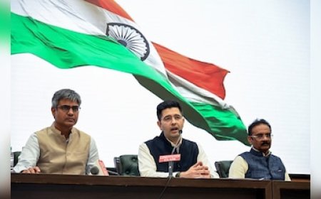 हरभजन, अशोक मित्तल, स्वाति मालीवाल... AAP के वो सांसद कौन हैं जो राघव के साथ BJP में गए