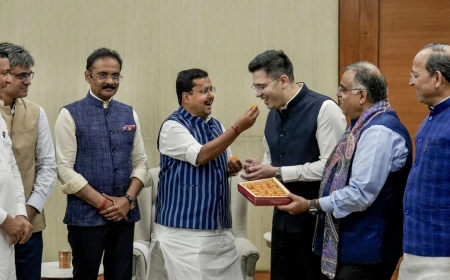AAP को बड़ा झटका, राज्यसभा के सभापति ने 7 सांसदों के BJP में विलय को दी मंजूरी