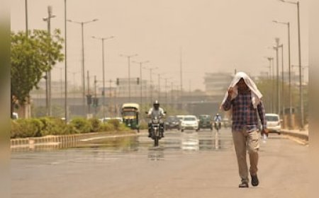 MP में भीषण गर्मी का कहर : खजुराहो में पारा 46°C, कई जिलों में लू व गर्म रातों की चेतावनी; IMD की ये है सलाह