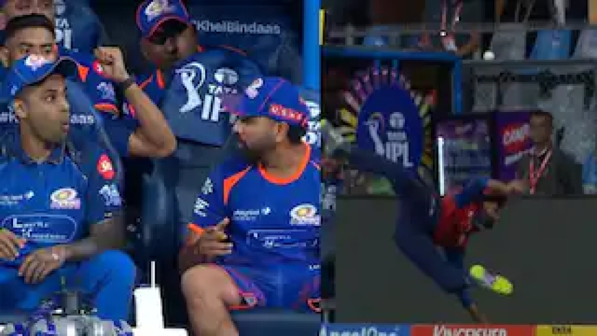 कैच ऑफ द सीजन', श्रेयस अय्यर ने पकड़ा अविश्वसनीय कैच; सूर्यकुमार और रोहित का रिएक्शन वायरल