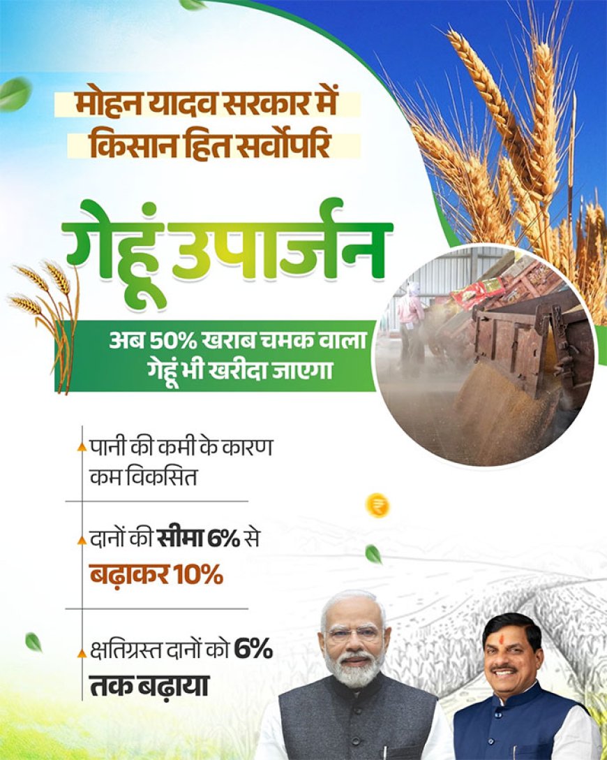 50% खराब चमक वाला गेहूं! घबराएं नहीं अन्नदाता, इन्हें भी खरीदेगी हमारी सरकार