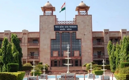 विदेशी अदालत का आदेश मानने को बाध्य नहीं', हाईकोर्ट ने बच्ची को कनाडा भेजने से किया इनकार