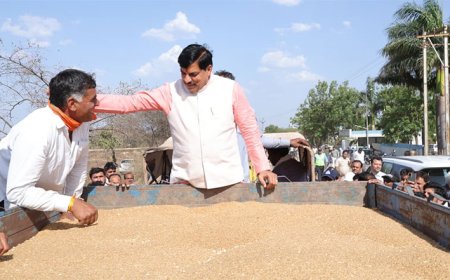 फिर अचानक गेहूं उपार्जन केंद्र पहुंचे सीएम डॉ. मोहन, रिलीज किया वेयरहाउस की क्षमता बढ़ाने का ऑर्डर