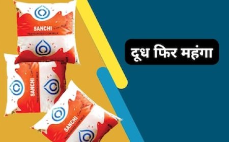 अमूल और मदर डेयरी के बाद अब सांची दूध के दाम भी बढ़े, एमपी में पड़ेगा असर