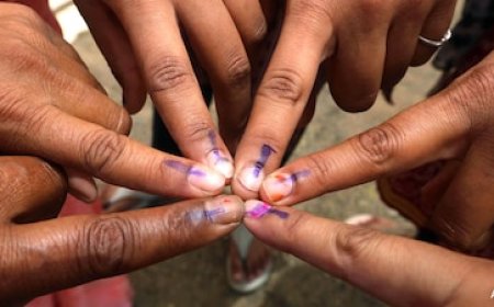 फ्लाइट पकड़ने से पहले उंगली की स्याही ने फंसाया! तमिलनाडु में विदेशियों की वोटिंग पर EC ने शुरू की बड़ी जांच